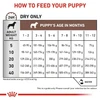 Royal Canin Veterinary Gastrointestinal Puppy Dog Dry Food 2.5 Kg