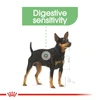 Royal Canin Mini Digestive Care Dog Dry Food 3 Kg