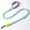 Hands-Free Dog Leash – Adjustable Crossbody & Waist Belt Leash for Walking, Running, and Training (Purple Handle)