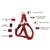 Doco Nylon Harness XS (1.0 x 32-44cm)