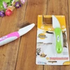 Pet Grooming Detangling Comb for Dogs & Cats – Anti-Knot, Shedding & Hair Care Tool (KD-0265)