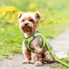Doco Reflective Quick-Fit Comfort Dog Harness Small