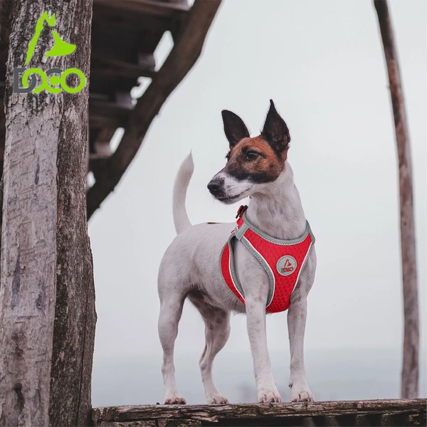 Doco Reflective Active Quick-Fit Dog Harness Large
