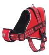  Doco Vertex Power Dog Harness XL