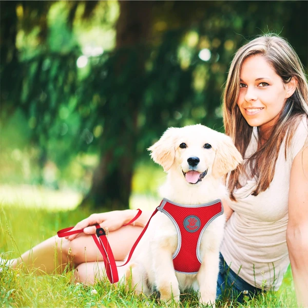 Doco Stitched Mesh Handle Dog Leash Small (1.5 x 150cm)