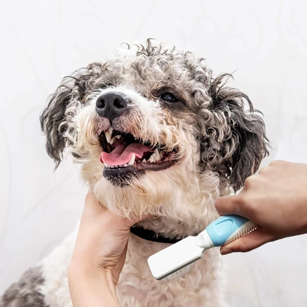 Pet Grooming Detangling Comb for Dogs & Cats – Anti-Knot, Shedding & Hair Care Tool (KD-031)