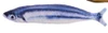 1pc Soft Fish Cat Toy 20cm – Realistic Plush Toy for Cats