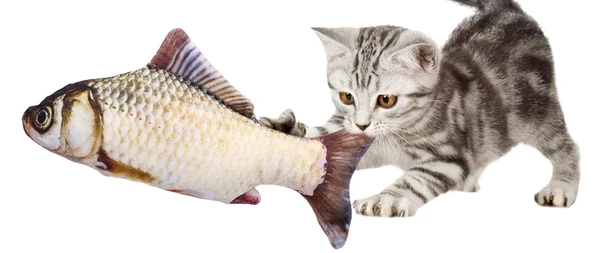 1pc Soft Fish Cat Toy 20cm – Realistic Plush Toy for Cats
