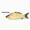 1pc Soft Fish Cat Toy 20cm – Realistic Plush Toy for Cats