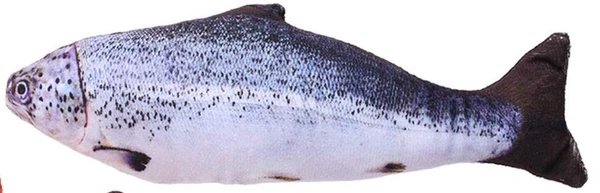 Large Plush Fish Cat Toy 60cm – Realistic Soft Kicker Toy for Cats | Bite, Kick & Play Interactive Pet Toy