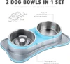 DOKIPETTY Premium Stainless Steel Double Pet Bowl Set – 2-in-1 Food & Water Feeder for Cats and Dogs | Non-Slip Feeding Station - Blue
