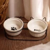 Elevated Ceramic Cat Bowls with Metal Stand – Tilted Anti-Vomiting Raised Food & Water Bowls for Cats and Small Dogs