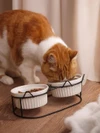 Elevated Ceramic Cat Bowls with Metal Stand – Tilted Anti-Vomiting Raised Food & Water Bowls for Cats and Small Dogs