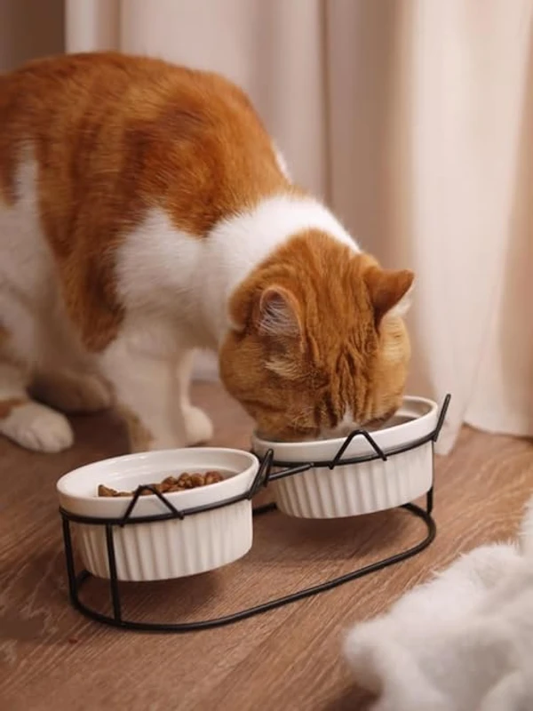 Elevated Ceramic Cat Bowls with Metal Stand – Tilted Anti-Vomiting Raised Food & Water Bowls for Cats and Small Dogs