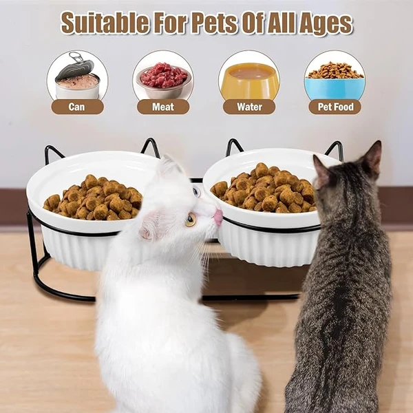 Elevated Ceramic Cat Bowls with Metal Stand – Tilted Anti-Vomiting Raised Food & Water Bowls for Cats and Small Dogs