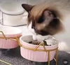 Elevated Ceramic Cat Bowls with Metal Stand – Tilted Anti-Vomiting Raised Food & Water Bowls for Cats and Small Dogs