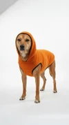 Winter Hoodie for Dogs – Warm Soft Fur Jacket for Medium Breeds (Size 4 - Orange)