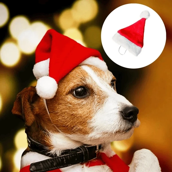 Pet Christmas Santa Hat – Festive Holiday Soft Hat for Cats & Dogs