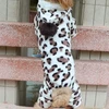 Leopard Winter Pet Jumpsuit – Soft Fleece Hoodie Pajamas for Dogs (Chest 50 cm, Neck 30 cm, Length 37 cm)