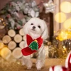 Red Pet Scarf for Cats & Small Dogs with Green Christmas Tree – Adjustable Neck Scarf (Fits 19–32 cm Neck)