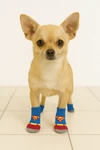 Superman Pet Socks – Anti-Slip Socks for Small & Medium Dogs (L:8cm, W:4.5 cm)