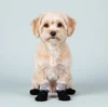 Tuxedo Pet Socks – Anti-Slip Socks for Small & Medium Dogs (L:8cm, W:4.5cm)