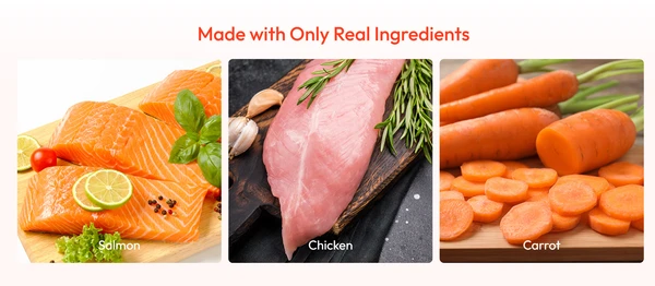 Wanpy Tasty Salmon Paste with Chicken & Carrot Cat Wet Food – Lickable Meat Paste (90g)