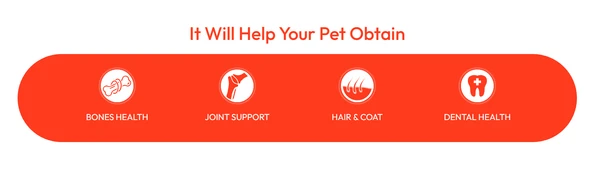 Wanpy Oven-Roasted Chicken Jerky Dog Treats – High Protein Low Fat Natural Snacks 100g