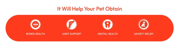 Wanpy Oven-Roasted Duck Jerky Dumbbells for Dogs – High Protein Low Fat Chewy Treats 100g