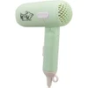 Mini Portable Folding Hair Dryer with 2 Speed Settings - 450W For Cats & Dogs 