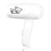 Mini Portable Folding Hair Dryer with 2 Speed Settings - 450W For Cats & Dogs 