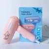 Mini Portable Folding Hair Dryer with 2 Speed Settings - 450W For Cats & Dogs 