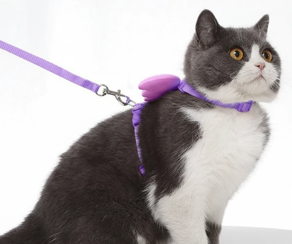 Cute Angel Adjustable Collars Pet Cat Harness and Leash Set with Wings for Cat and Kitten