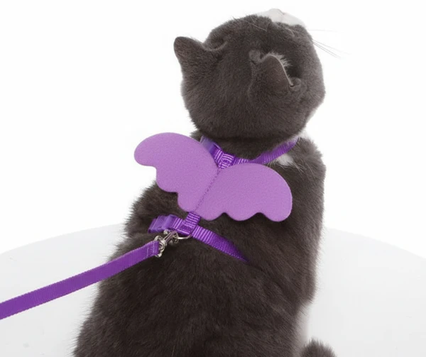 Cute Angel Adjustable Collars Pet Cat Harness and Leash Set with Wings for Cat and Kitten