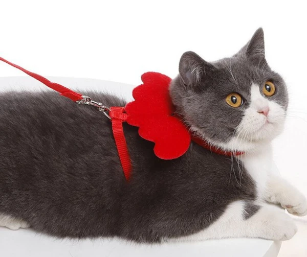 Cute Angel Adjustable Collars Pet Cat Harness and Leash Set with Wings for Cat and Kitten