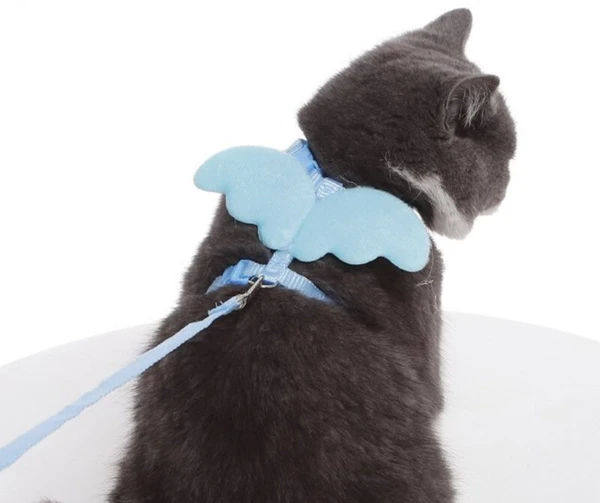 Cute Angel Adjustable Collars Pet Cat Harness and Leash Set with Wings for Cat and Kitten
