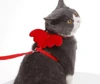 Cute Angel Adjustable Collars Pet Cat Harness and Leash Set with Wings for Cat and Kitten
