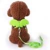 Cute Angel Adjustable Collars Pet Cat Harness and Leash Set with Wings for Cat and Kitten
