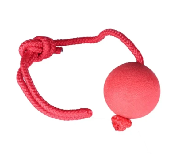 Hard Rubber Dog Toy Ball With Rope (32 CM) – Durable Bouncy Ball for Dogs | Chew, Fetch & Training Toy for Dogs (6cm - 1 pc Color Red)