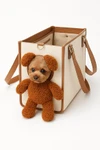 Cute Teddy Bear Pet Carrier Bag for Cats & Small Dogs – Soft Travel Purse with Shoulder Strap, Peek Window & Leash Clip