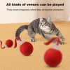 Interactive Smart Pet Toy Rolling Ball, Electric Toy Balls for Indoor Cats & Dogs - Rechargeable
