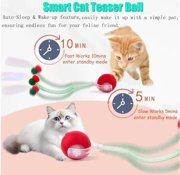 Interactive Smart Pet Toy Rolling Ball, Electric Toy Balls for Indoor Cats & Dogs Rechargeable with 2 Tails