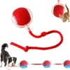 Interactive Smart Pet Toy Rolling Ball, Electric Toy Balls for Indoor Cats & Dogs Rechargeable with 2 Tails