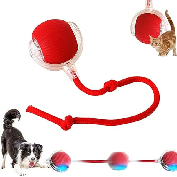 Interactive Smart Pet Toy Rolling Ball, Electric Toy Balls for Indoor Cats & Dogs Rechargeable with 2 Tails