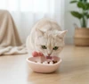 Heart-shaped Pet Slow Feeder Bowl with Cute Bow for Cats & Dogs