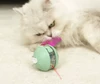 Interactive Pet Dodgeball Infrared Laser Automatic Rolling Ball Bite Resistance Low Noise Automatic Teasing Cat Toy USB Rechargeable