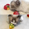 Ladybird Catnip Wall Ball – Interactive Cat Toy with Built-In Catnip 5cm