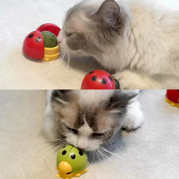 Ladybird Catnip Wall Ball – Interactive Cat Toy with Built-In Catnip 5cm