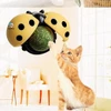Ladybird Catnip Wall Ball – Interactive Cat Toy with Built-In Catnip 5cm