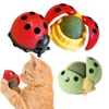Ladybird Catnip Wall Ball – Interactive Cat Toy with Built-In Catnip 5cm